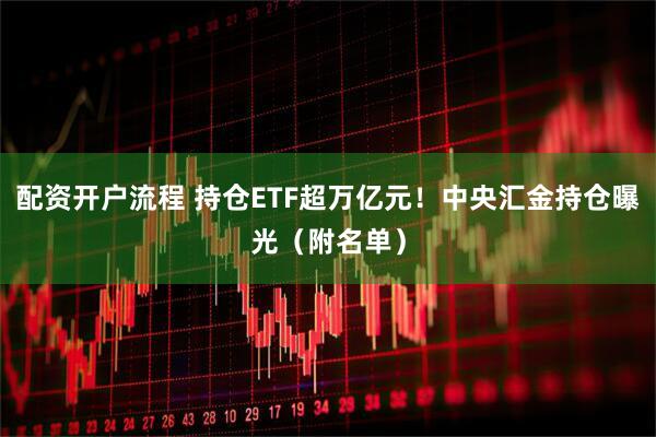配资开户流程 持仓ETF超万亿元！中央汇金持仓曝光（附名单）
