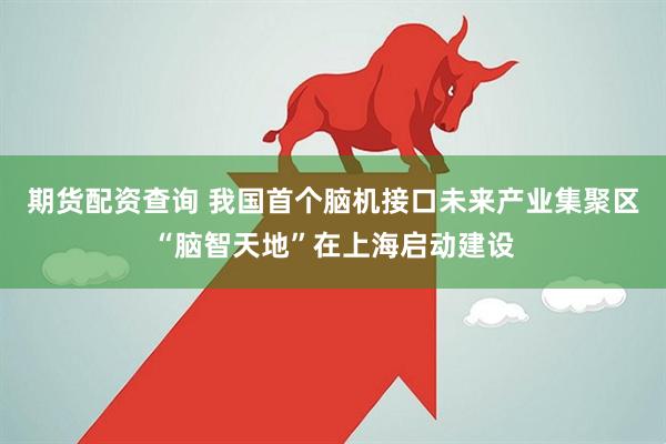 期货配资查询 我国首个脑机接口未来产业集聚区“脑智天地”在上海启动建设