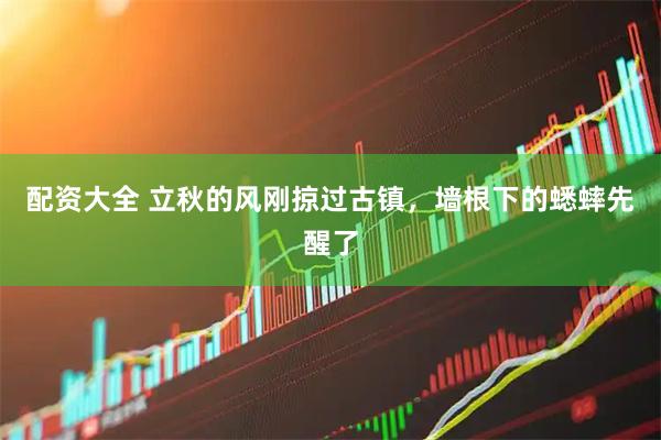配资大全 立秋的风刚掠过古镇，墙根下的蟋蟀先醒了