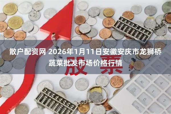 散户配资网 2026年1月11日安徽安庆市龙狮桥蔬菜批发市场价格行情